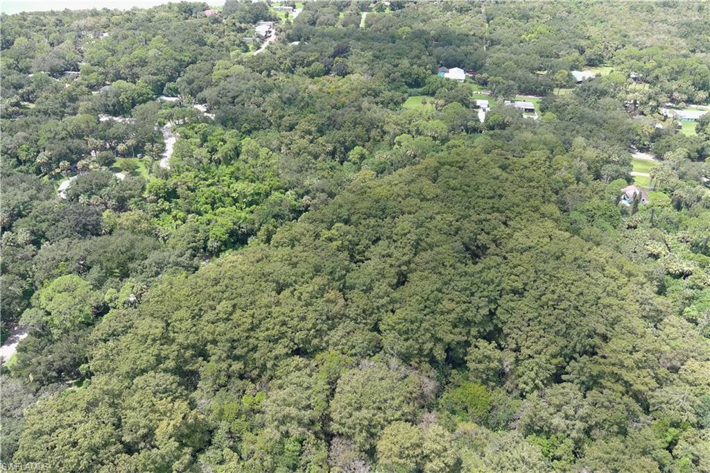 5101 Winston Road Immokalee, FL 34142 - Photo 7 of 10 a view of a forest with a houses and forest