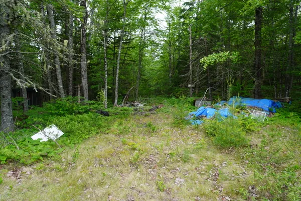 $7,900 | Lot 40 South River Road, Dennysville, ME 04628