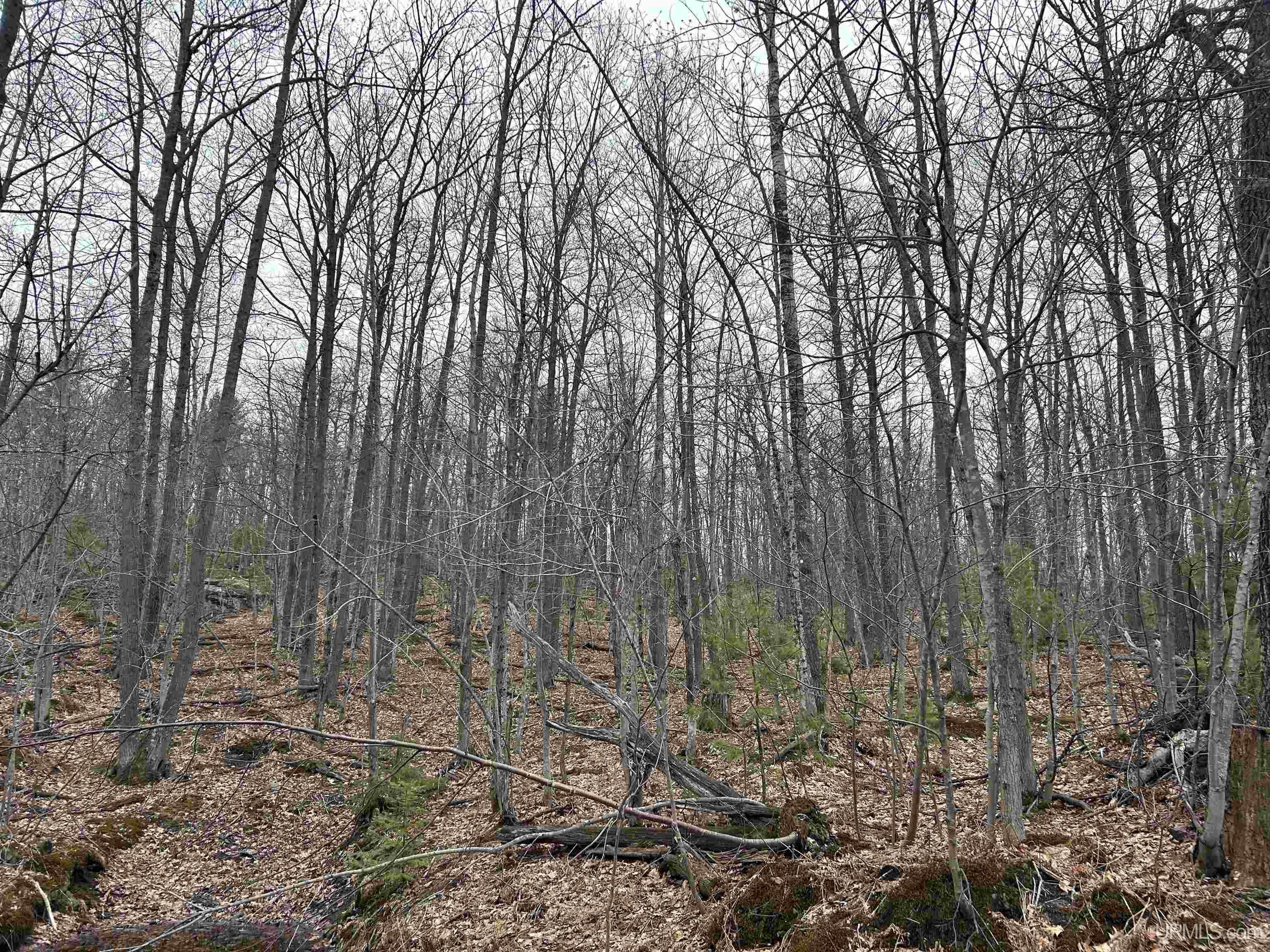 Near Krooks Road Negaunee, MI 49866 - Photo 3 of 15