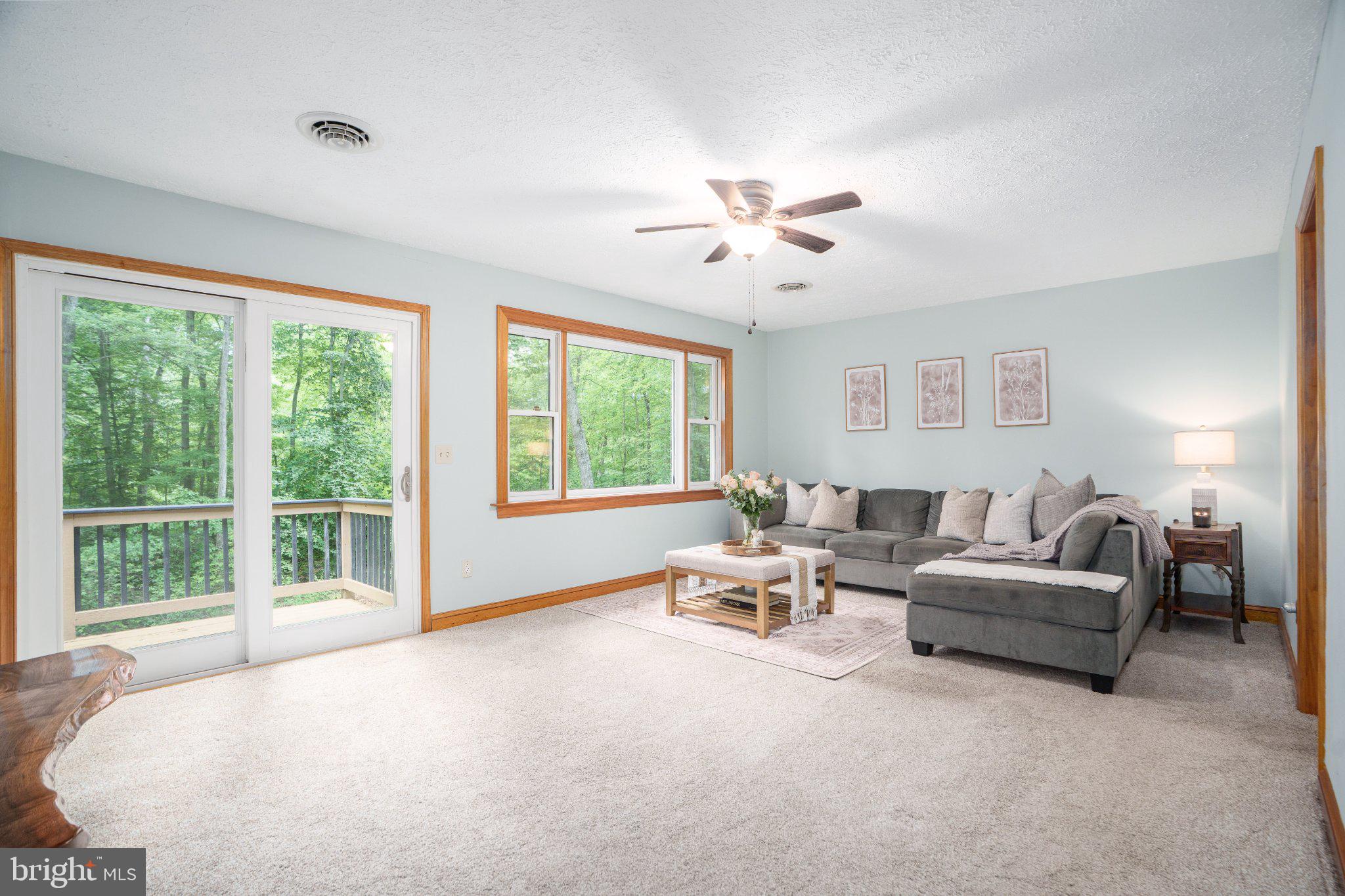 146 Razor Strap Road North East, MD 21901 - Photo 6 of 15 Serene living space with nature views.