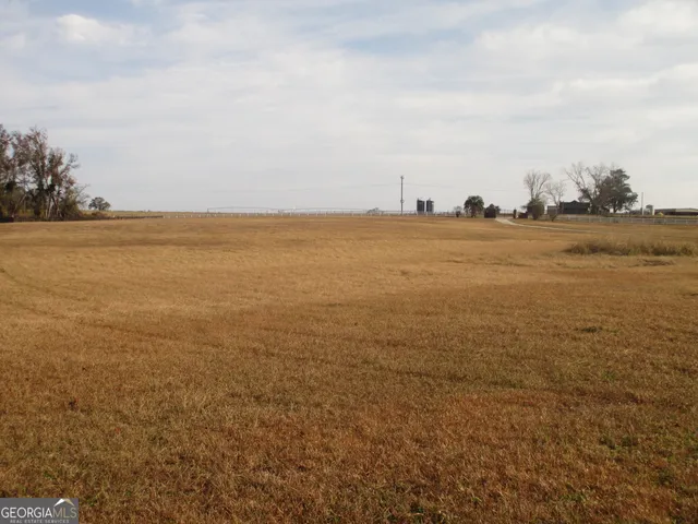 $648,357 | 4262 Highway 15, Vidalia, GA 30474