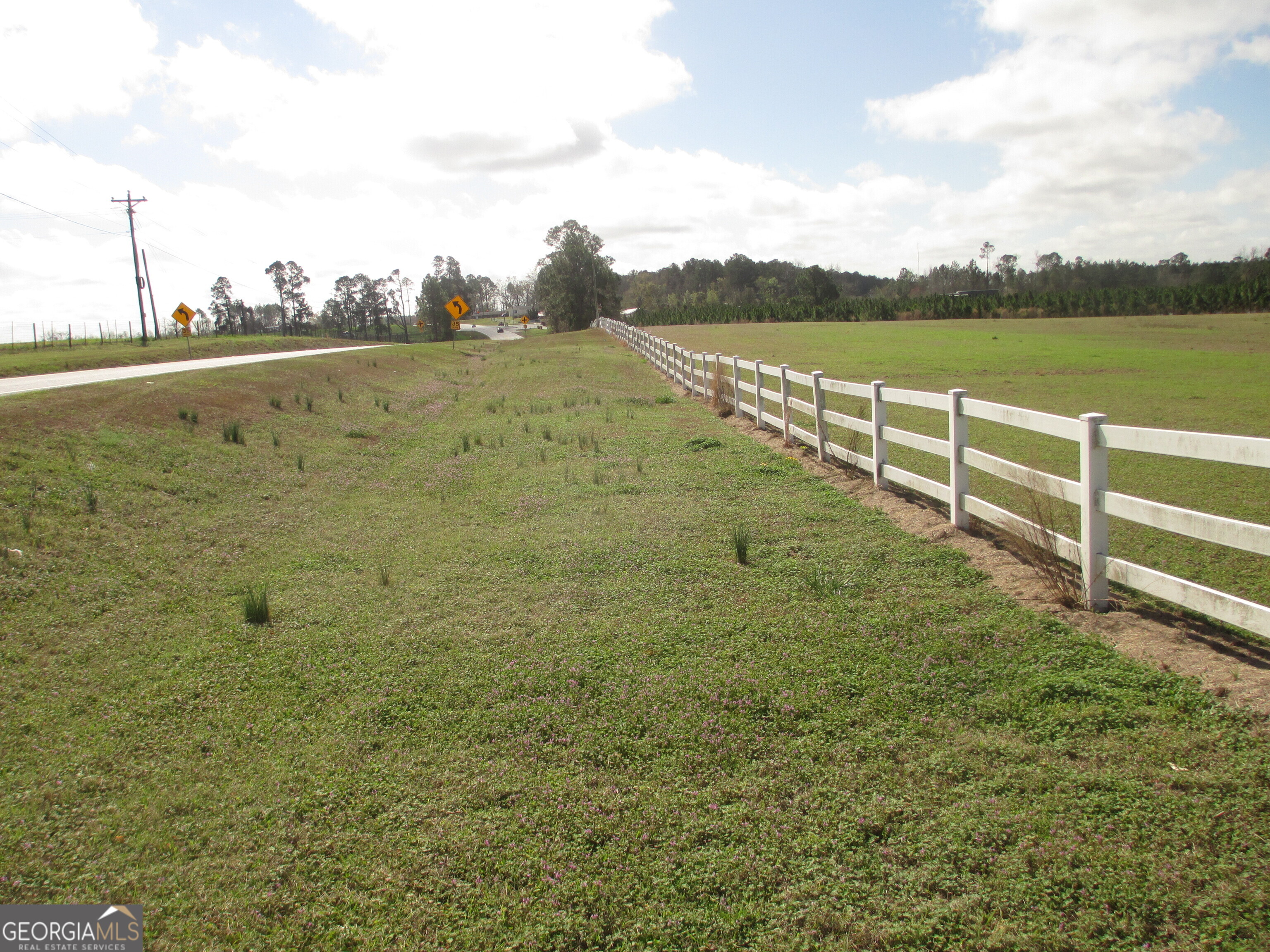 4262 Highway 15 Vidalia, GA 30474 - Photo 24 of 79 17.74 Acres Fenced In