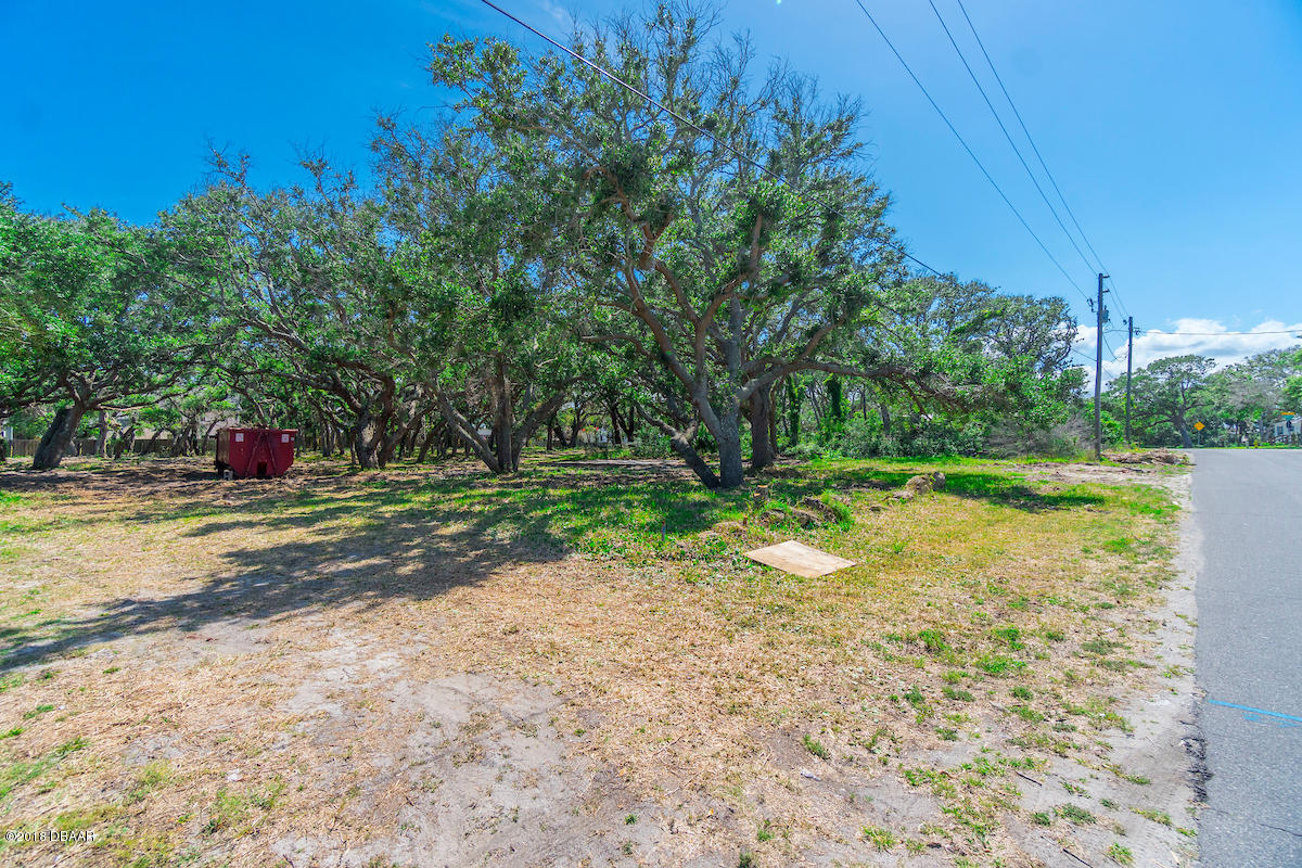 271-273 Desoto Road St. Augustine, FL 32080 - Photo 11 of 13 a view of a tree in the middle of a yard