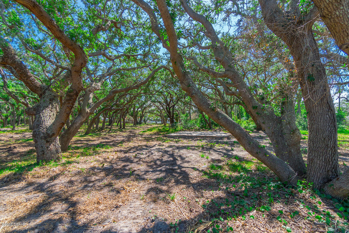 271-273 Desoto Road St. Augustine, FL 32080 - Photo 12 of 13 a view of outdoor space and yard
