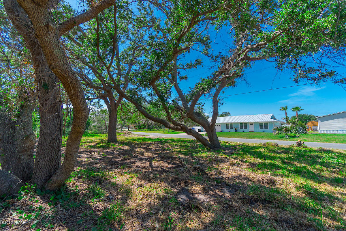271-273 Desoto Road St. Augustine, FL 32080 - Photo 13 of 13 a view of a backyard with large trees