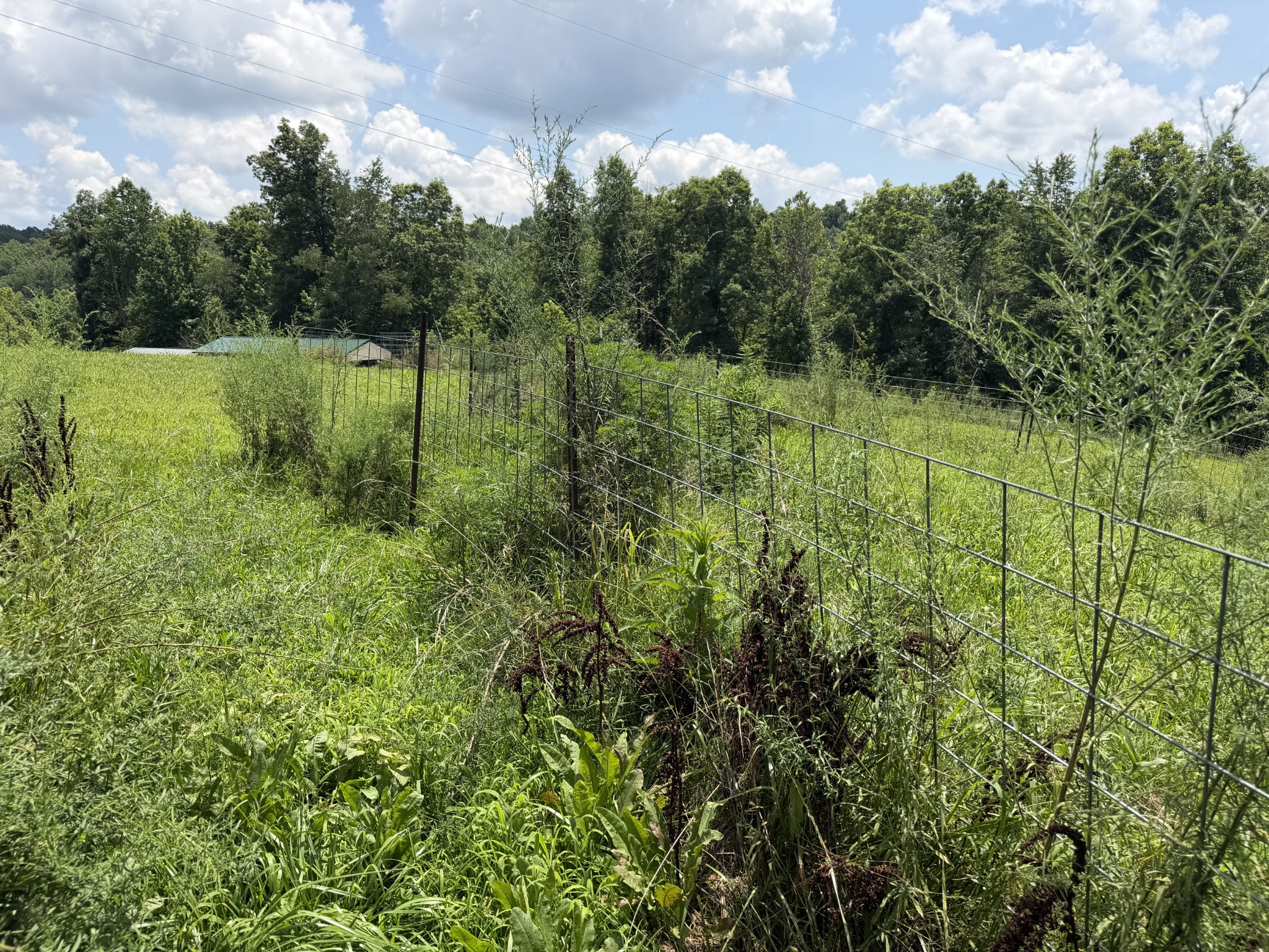 232 Cane Creek Road Hohenwald, TN 38462 - Photo 78 of 91