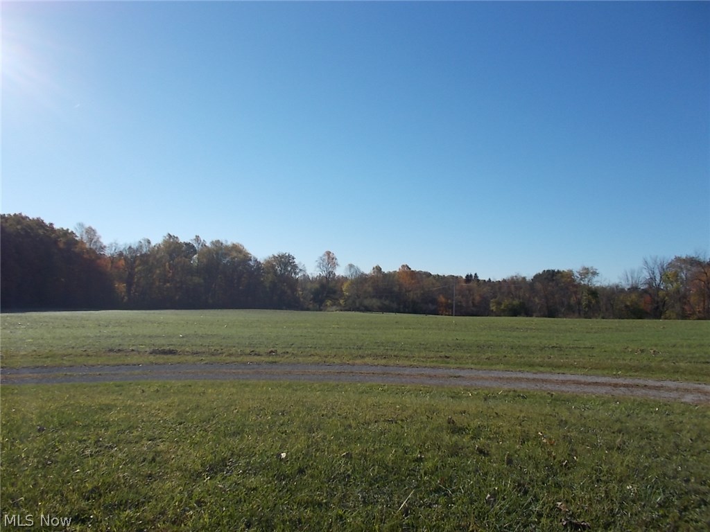 17346 Hallauer Road Wellington, OH 44090 - Photo 19 of 23 Gallery Image 19
