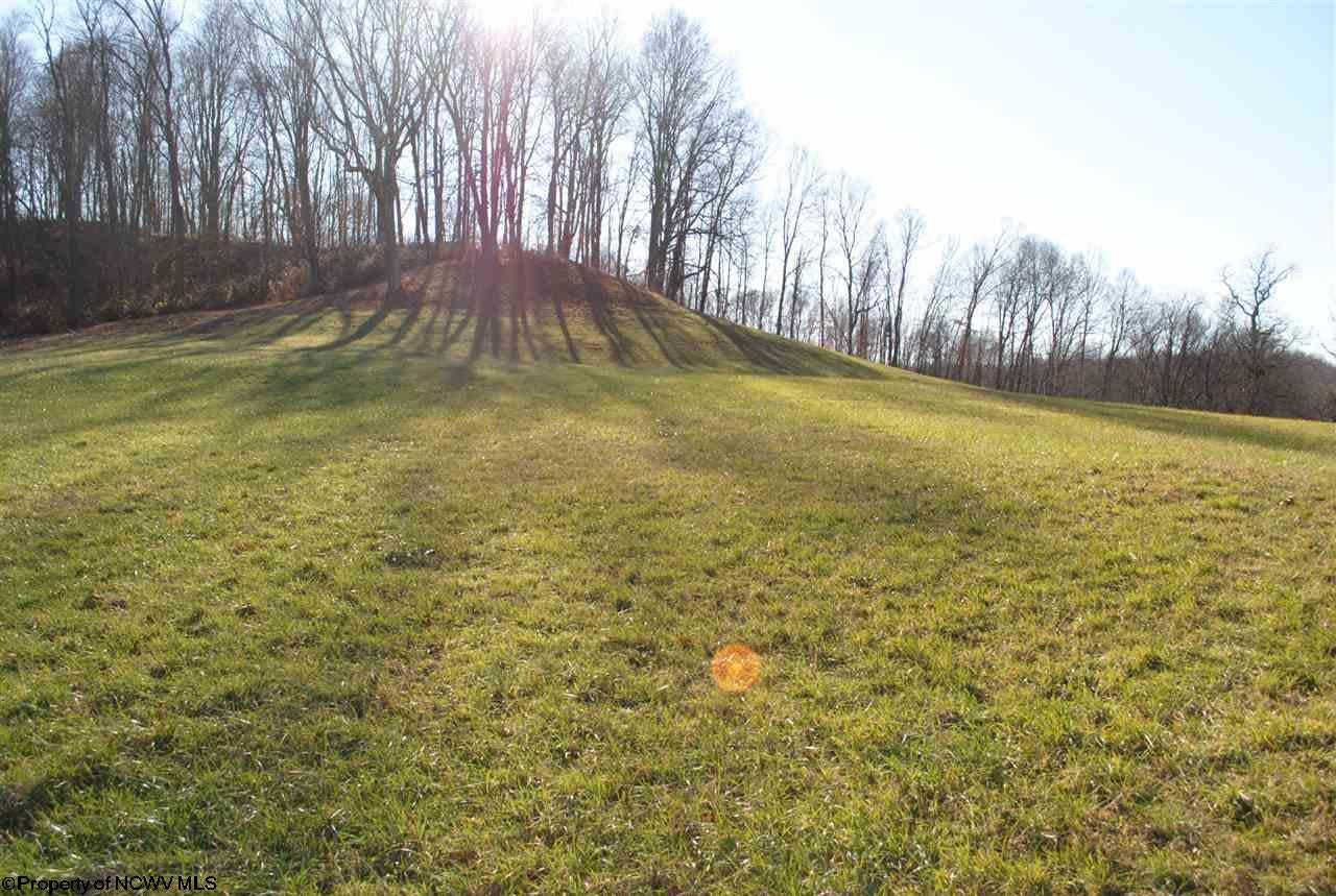 1417 Audra Park Road Belington, WV 26250 - Photo 16 of 21 Gallery Image 16