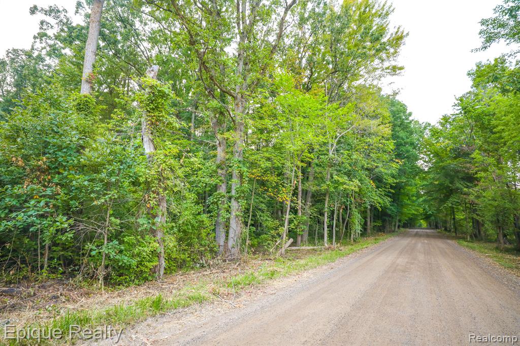 -tbd Hagerman Road Leonard, MI 48367 - Photo 2 of 5