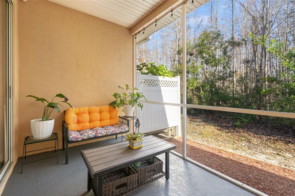 7305 Gaberia Road New Port Richey, FL 34655 - Photo 35 of 45