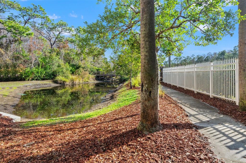 7305 Gaberia Road New Port Richey, FL 34655 - Photo 36 of 45