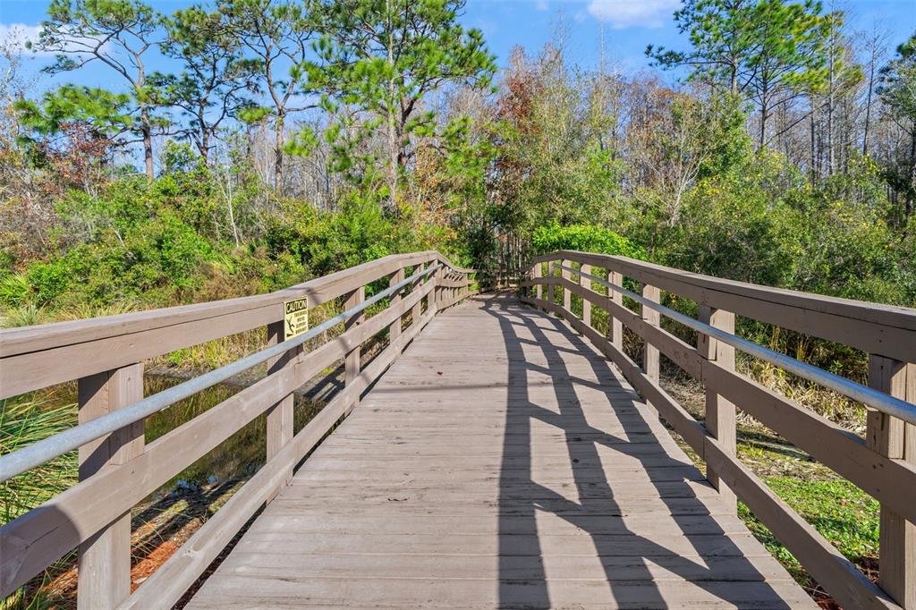 7305 Gaberia Road New Port Richey, FL 34655 - Photo 39 of 45