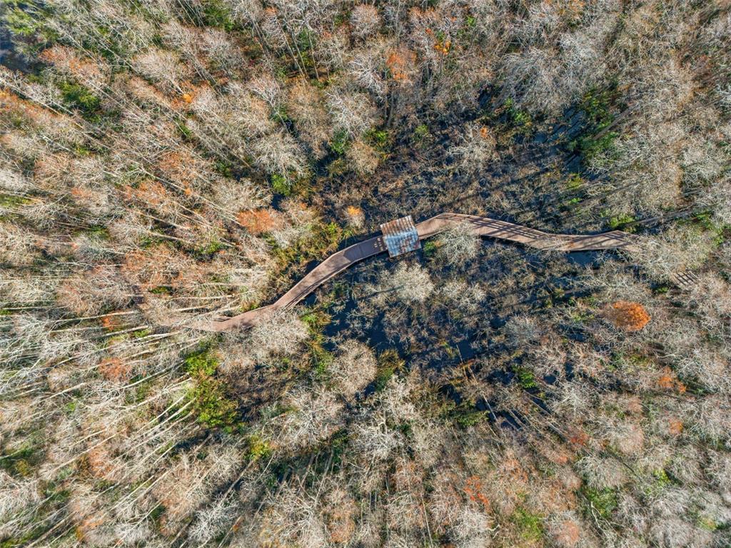 7305 Gaberia Road New Port Richey, FL 34655 - Photo 40 of 45