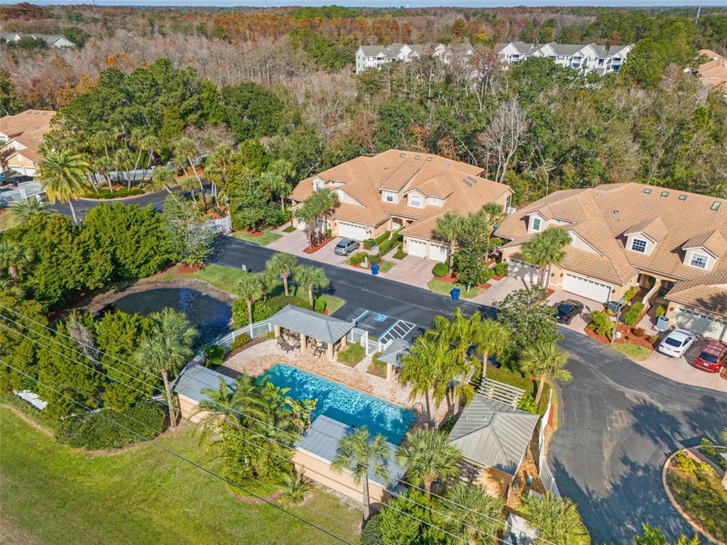 7305 Gaberia Road New Port Richey, FL 34655 - Photo 41 of 45