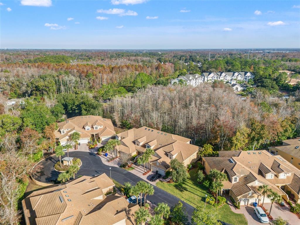 7305 Gaberia Road New Port Richey, FL 34655 - Photo 44 of 45