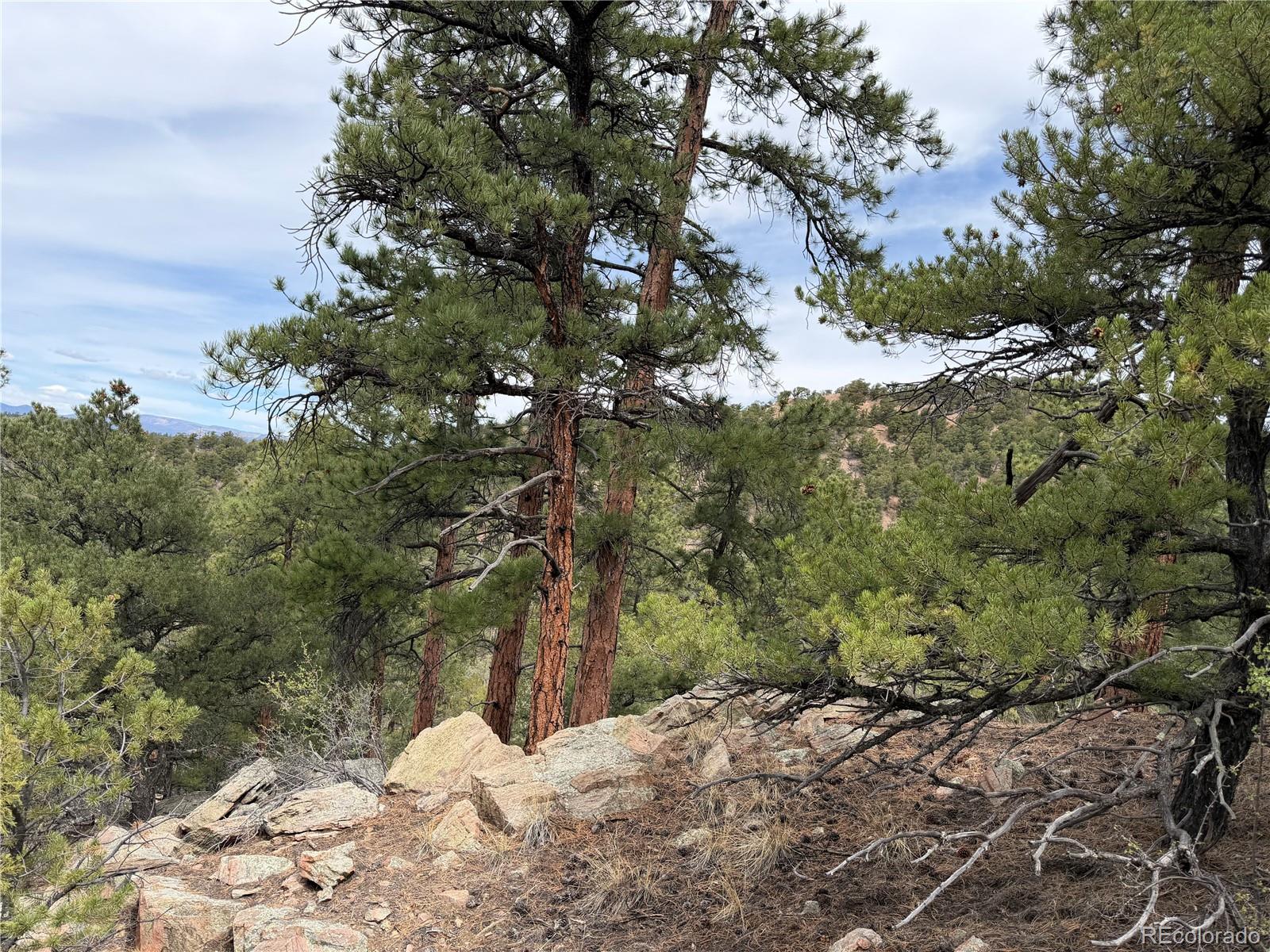 672 Coyote Run Road Cotopaxi, CO 81223 - Photo 8 of 26