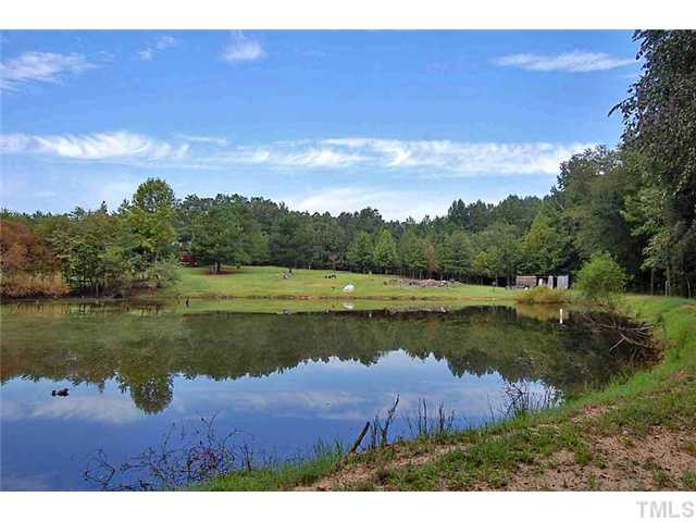 230 W Road Angier, NC 27501 - Photo 7 of 14 a view of a lake with outdoor space