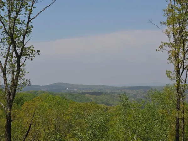 $125,000 | Lot 105 Twisted Oak Road, Talking Rock, GA 30175