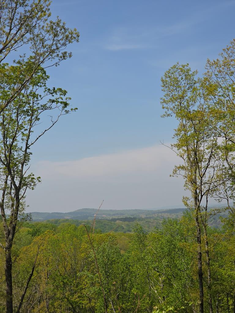 Lot 105 Twisted Oak Road Talking Rock, GA 30175 - Photo 2 of 15 a view of a yard