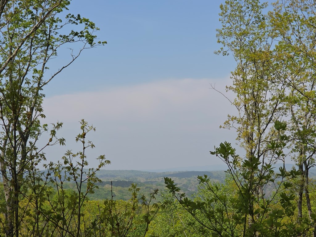 Lot 105 Twisted Oak Road Talking Rock, GA 30175 - Photo 3 of 15 a view of flowers in middle of the garden