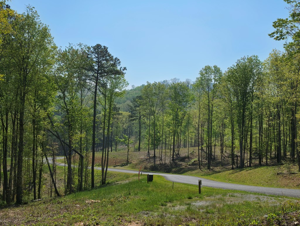 Lot 105 Twisted Oak Road Talking Rock, GA 30175 - Photo 7 of 15 a view of a park