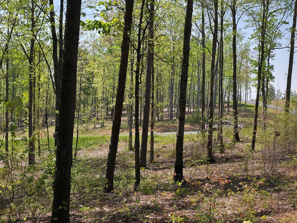 Lot 105 Twisted Oak Road Talking Rock, GA 30175 - Photo 8 of 15 a view of outdoor space and garden