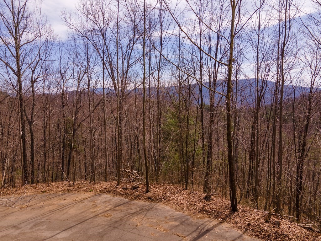 43 Spurling Road Sevierville, TN 37862 - Photo 3 of 5
