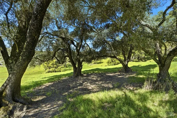 $1,695,000 | 11850 Brooks Road, Windsor, CA 95492