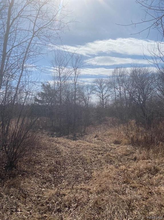 0 Barton Road Pinckney, MI 48169 - Photo 2 of 6