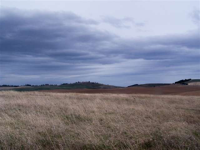 0 East Bradshaw Road Fairfield, WA 99012 - Photo 1 of 4