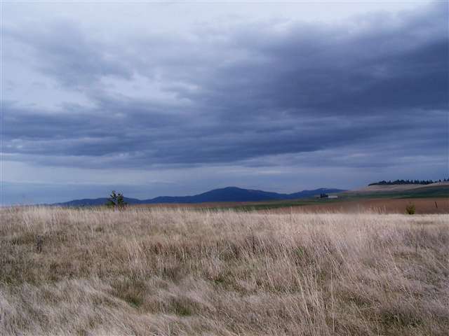 0 East Bradshaw Road Fairfield, WA 99012 - Photo 3 of 4