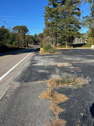123-125 Mendon Street Bellingham, MA 02019 - Photo 2 of 7 a view of road with large trees