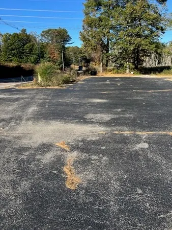 a view of a yard