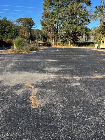 123-125 Mendon Street Bellingham, MA 02019 - Photo 7 of 7 a view of dirt yard with a large tree