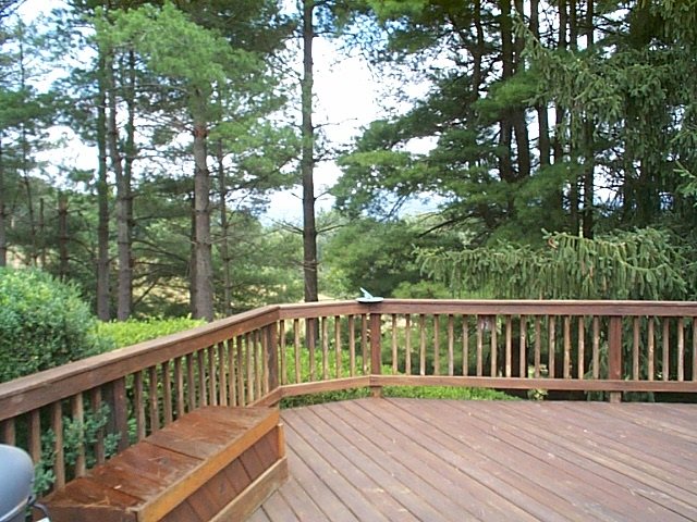 1541 Duke Road Waynesboro, VA 22980 - Photo 16 of 50 a view of balcony with wooden floor and fence