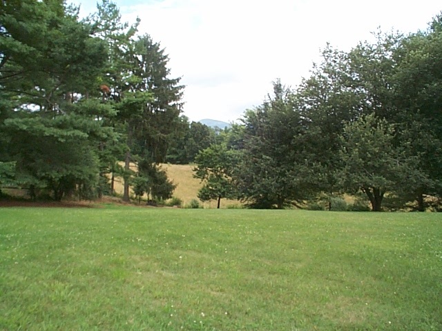 1541 Duke Road Waynesboro, VA 22980 - Photo 19 of 50 a view of a trees with a big yard