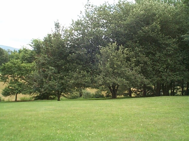 1541 Duke Road Waynesboro, VA 22980 - Photo 23 of 50 a view of a field of grass and trees