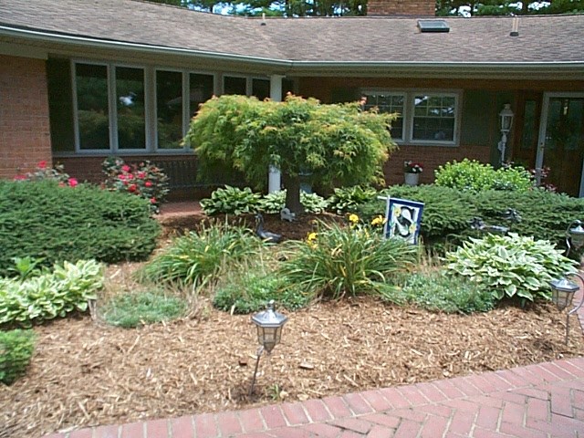 1541 Duke Road Waynesboro, VA 22980 - Photo 3 of 50 a front view of a house with a yard