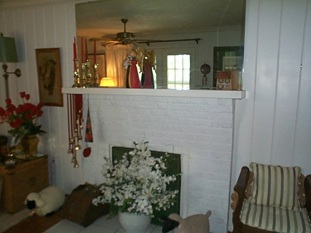 1541 Duke Road Waynesboro, VA 22980 - Photo 34 of 50 swimming pool view with a potted plant