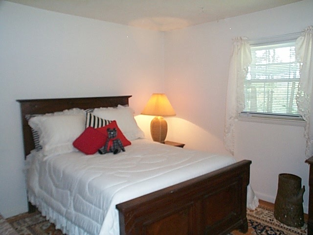 1541 Duke Road Waynesboro, VA 22980 - Photo 49 of 50 a bedroom with a bed and window