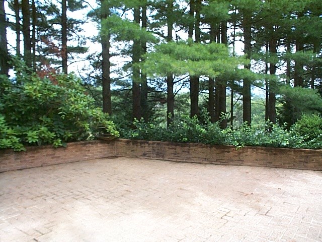 1541 Duke Road Waynesboro, VA 22980 - Photo 8 of 50 a view of a yard with plants and trees