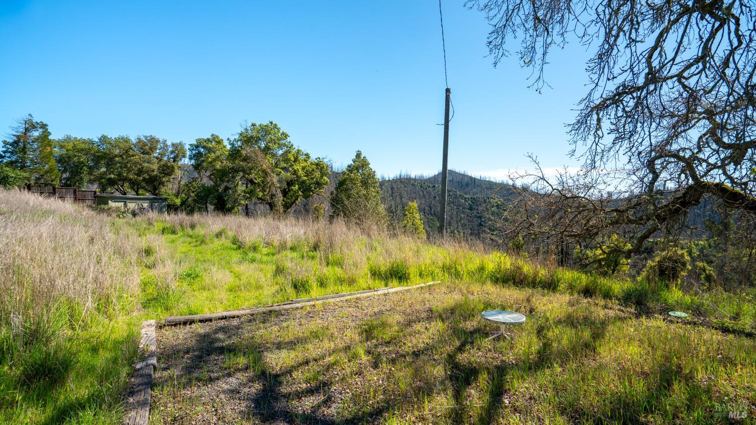 1470 Los Alamos Road Santa Rosa, CA 95409 - Photo 11 of 20 a view of a yard with a tree