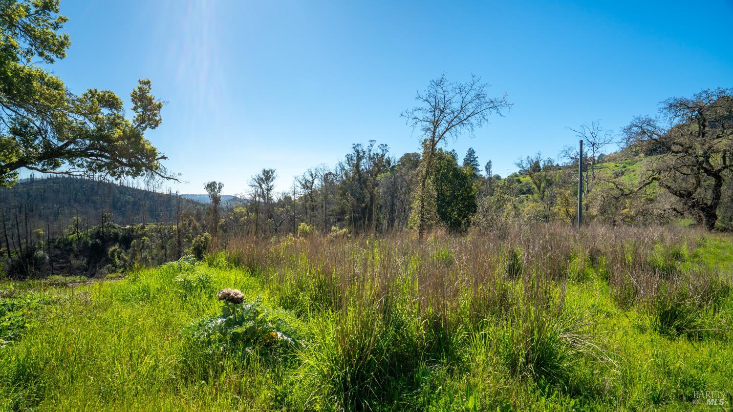 1470 Los Alamos Road Santa Rosa, CA 95409 - Photo 12 of 20 a view of a garden