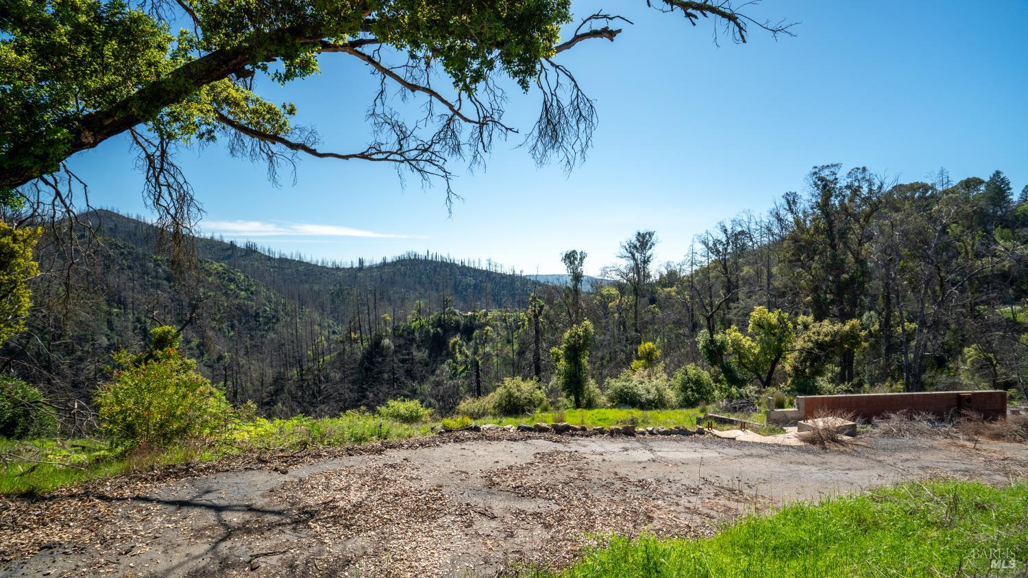 1470 Los Alamos Road Santa Rosa, CA 95409 - Photo 10 of 20 a view of a dry yard with trees