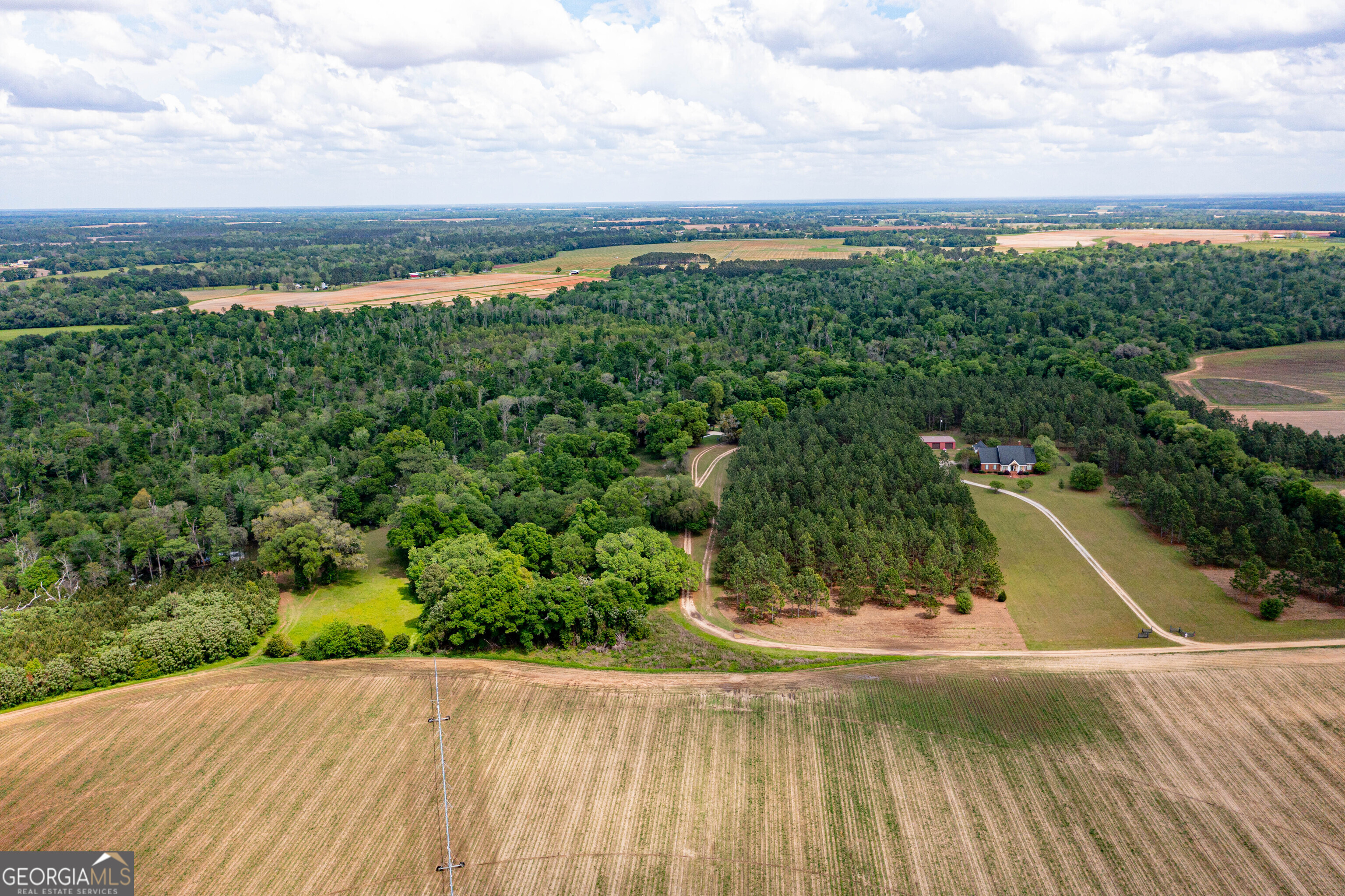 195 Twilight Church Road Colquitt, GA 39837 - Photo 63 of 66