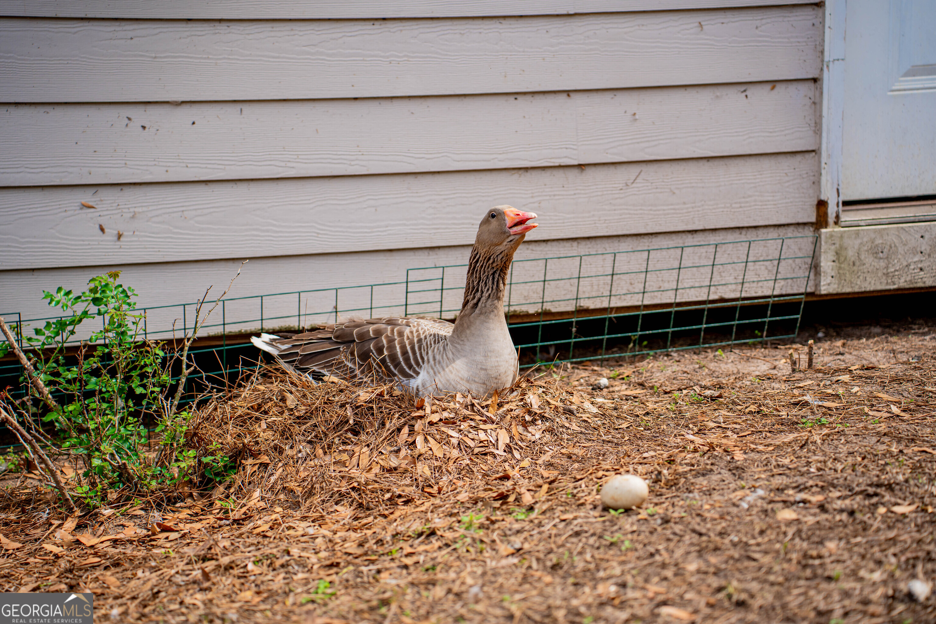 195 Twilight Church Road Colquitt, GA 39837 - Photo 64 of 66