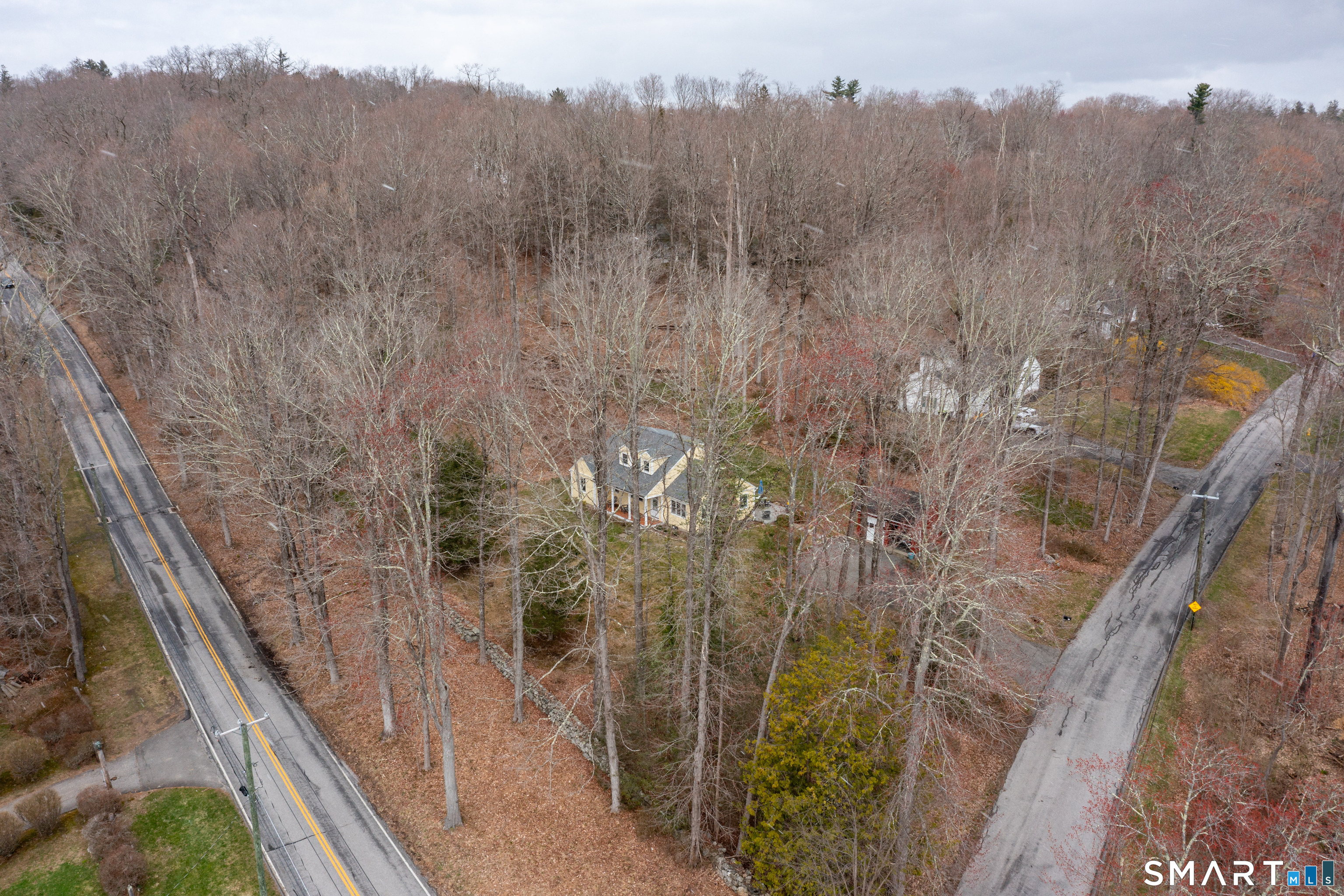 11 Sheldon Lane Litchfield, CT 06759 - Photo 31 of 33 a view of a forest with a mountain in the background