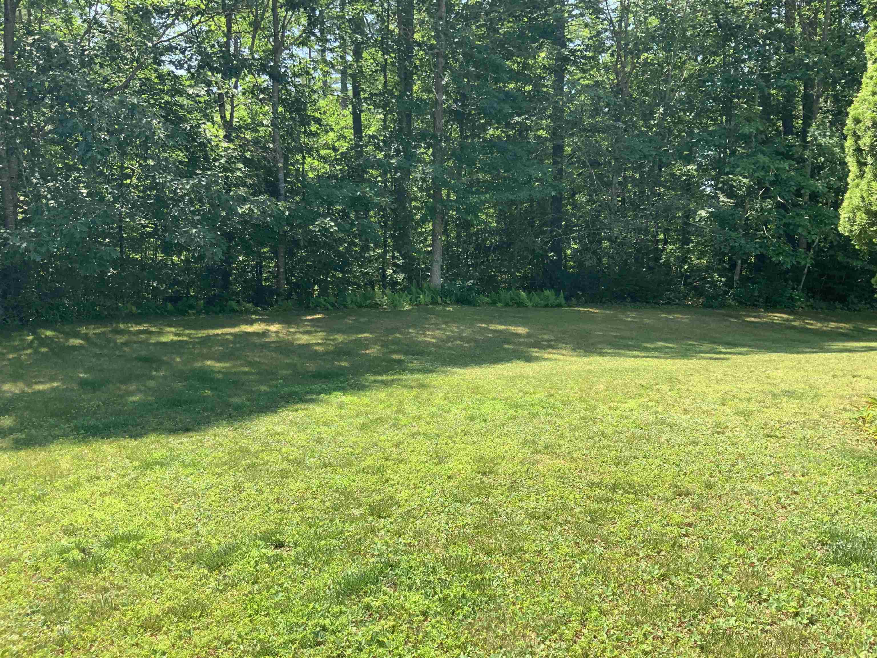 56 Osprey Road Alton, NH 03809 - Photo 5 of 31