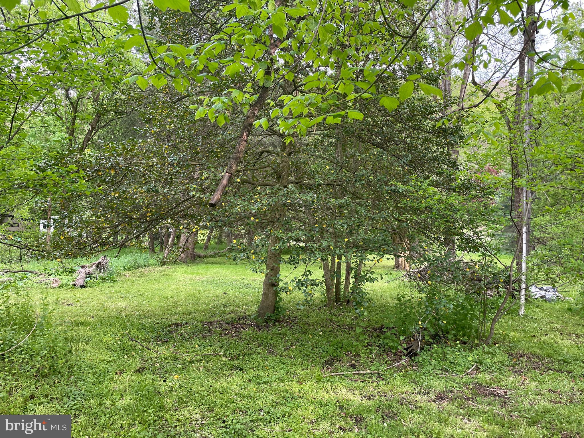 0 River Road Pequea, PA 17565 - Photo 12 of 28 a view of outdoor space and yard