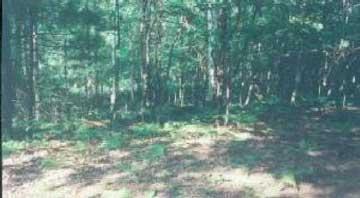 6 Ridge Road Mears, MI 49436 - Photo 1 of 1 Primary Photo